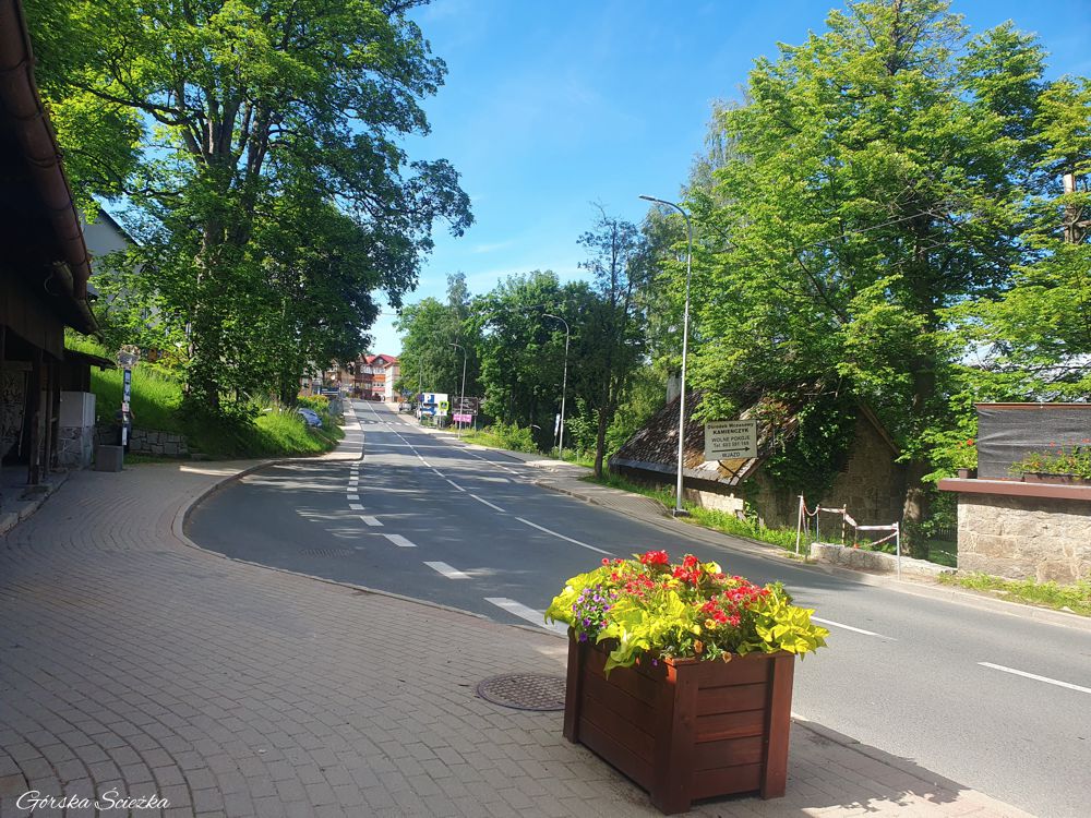 Słonecznik Karpacz: Przystanek Karpacz Wang
